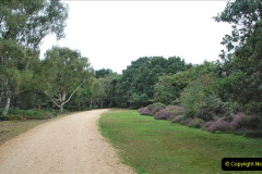 063.2023-08-27-Brownsea-Island-NT-Poole-Harbour-Poole-Dorset.-63-