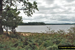 072.2023-08-27-Brownsea-Island-NT-Poole-Harbour-Poole-Dorset.-72-