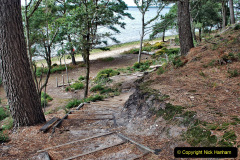 080.2023-08-27-Brownsea-Island-NT-Poole-Harbour-Poole-Dorset.-80-