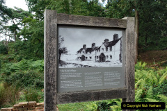 086.2023-08-27-Brownsea-Island-NT-Poole-Harbour-Poole-Dorset.-86-