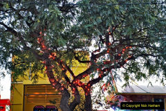 050.2023-12-08-Funchal-Medeira-Christmas-Lights.-50-
