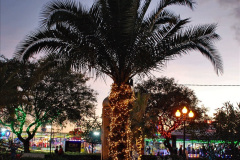 077.2023-12-08-Funchal-Medeira-Christmas-Lights.-77-