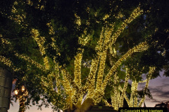 108.2023-12-08-Funchal-Medeira-Christmas-Lights.-108-