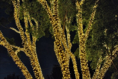 109.2023-12-08-Funchal-Medeira-Christmas-Lights.-109-