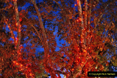 121.2023-12-08-Funchal-Medeira-Christmas-Lights.-121-