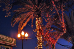 124.2023-12-08-Funchal-Medeira-Christmas-Lights.-124-