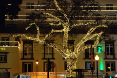 129.2023-12-08-Funchal-Medeira-Christmas-Lights.-129-