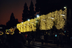 142.2023-12-08-Funchal-Medeira-Christmas-Lights.-142-