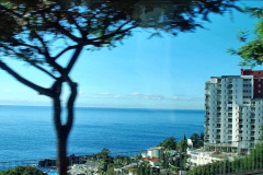 027.2023_12_08-Canary-Islands-7.-Funchal-Maderia.-27-
