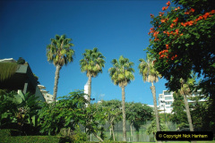 056.2023_12_08-Canary-Islands-7.-Funchal-Maderia.-56-
