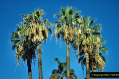 060.2023_12_08-Canary-Islands-7.-Funchal-Maderia.-60-