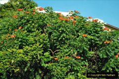 061.2023_12_08-Canary-Islands-7.-Funchal-Maderia.-61-