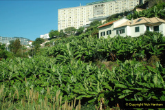 062.2023_12_08-Canary-Islands-7.-Funchal-Maderia.-62-
