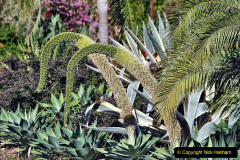 075.2023_12_08-Canary-Islands-7.-Funchal-Maderia.-75-