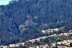 083.2023_12_08-Canary-Islands-7.-Funchal-Maderia.-83-