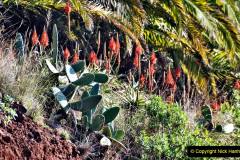 098.2023_12_08-Canary-Islands-7.-Funchal-Maderia.-98-