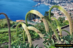 109.2023_12_08-Canary-Islands-7.-Funchal-Maderia.-109-