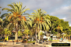 220.2023_12_08-Canary-Islands-7.-Funchal-Maderia.-220-