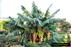 232.2023_12_08-Canary-Islands-7.-Funchal-Maderia.-232-