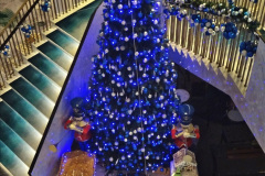 071.2023-12-08-MV-Spirit-of-Adventure-Xmas-Decorations.-71-