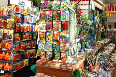 065.2023-12-09-Canary-Islands-8-Funchal-Mederia-AM.-65-