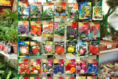 088.2023-12-09-Canary-Islands-8-Funchal-Mederia-AM.-88-