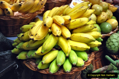 099.2023-12-09-Canary-Islands-8-Funchal-Mederia-AM.-99-