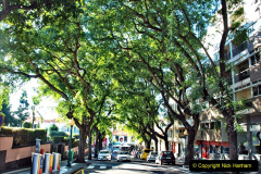 133.2023-12-09-Canary-Islands-8-Funchal-Mederia-AM.-133-
