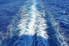 294.2023-12-09-Canary-Islands-8-Funchal-Mederia-AM.-294-