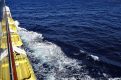 300.2023-12-09-Canary-Islands-8-Funchal-Mederia-AM.-300-