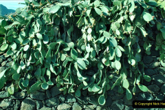 033.2023-12-10-Canary-Islands-9.-San-Sebastian-La-Gomera.-33-