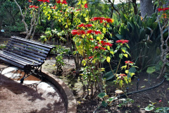 050.2023-12-10-Canary-Islands-9.-San-Sebastian-La-Gomera.-50-