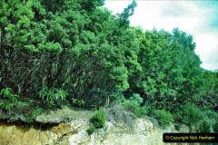 056.2023-12-10-Canary-Islands-9.-San-Sebastian-La-Gomera.-56-