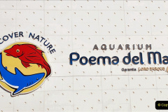 035.2023-12-12-Canary-Islands-11.-Les-Palmas-Gran-Canaria.-35-