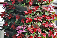 150.2023-12-12-Canary-Islands-11.-Les-Palmas-Gran-Canaria.-150-
