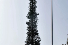 162.2023-12-12-Canary-Islands-11.-Les-Palmas-Gran-Canaria.-162-
