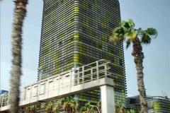 210.2023-12-12-Canary-Islands-11.-Les-Palmas-Gran-Canaria.-210-