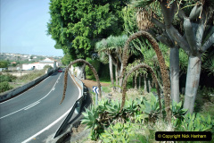 221.2023-12-12-Canary-Islands-11.-Les-Palmas-Gran-Canaria.-221-