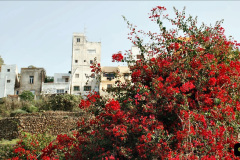 225.2023-12-12-Canary-Islands-11.-Les-Palmas-Gran-Canaria.-225-