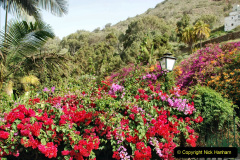226.2023-12-12-Canary-Islands-11.-Les-Palmas-Gran-Canaria.-226-
