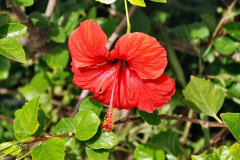 229.2023-12-12-Canary-Islands-11.-Les-Palmas-Gran-Canaria.-229-