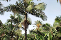 232.2023-12-12-Canary-Islands-11.-Les-Palmas-Gran-Canaria.-232-