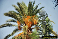 233.2023-12-12-Canary-Islands-11.-Les-Palmas-Gran-Canaria.-233-