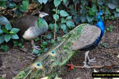 234.2023-12-12-Canary-Islands-11.-Les-Palmas-Gran-Canaria.-234-