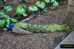 238.2023-12-12-Canary-Islands-11.-Les-Palmas-Gran-Canaria.-238-