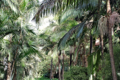 248.2023-12-12-Canary-Islands-11.-Les-Palmas-Gran-Canaria.-248-