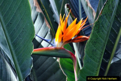 249.2023-12-12-Canary-Islands-11.-Les-Palmas-Gran-Canaria.-249-