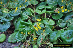 252.2023-12-12-Canary-Islands-11.-Les-Palmas-Gran-Canaria.-252-