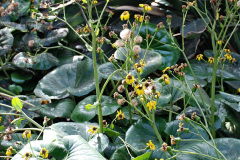 254.2023-12-12-Canary-Islands-11.-Les-Palmas-Gran-Canaria.-254-