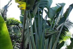 256.2023-12-12-Canary-Islands-11.-Les-Palmas-Gran-Canaria.-256-